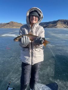 Cast through the ice, catch the prize.